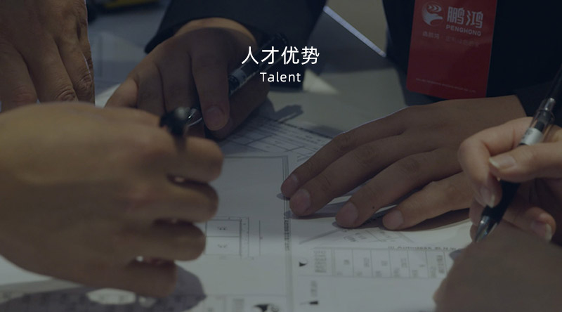 NG电子游戏人才优势