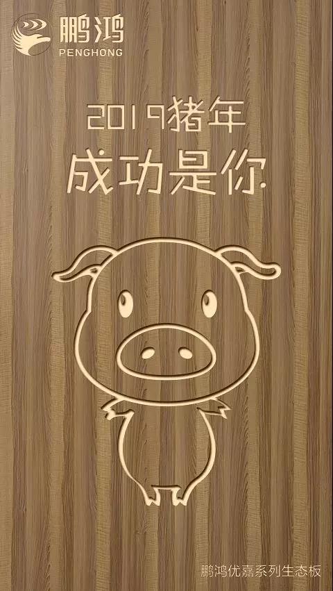 NG电子游戏优嘉系列生态板