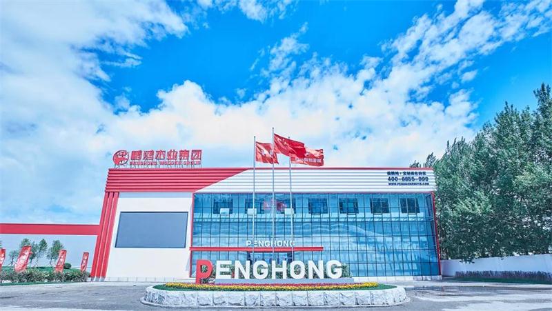 NG电子游戏·(中国区)官方网站