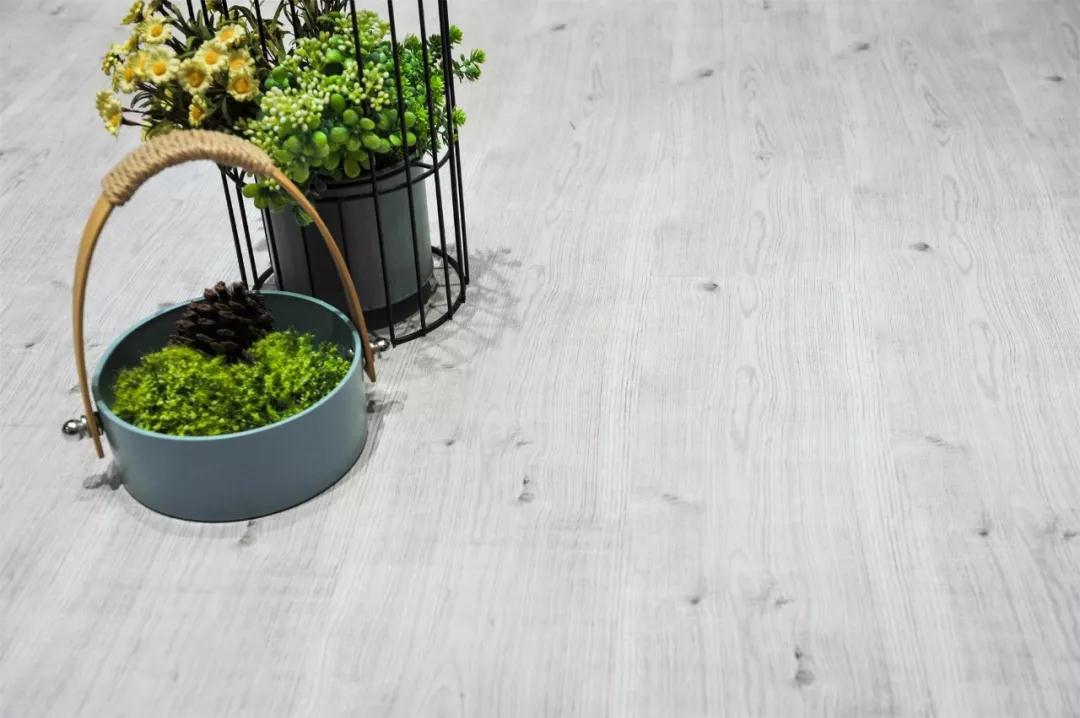 NG电子游戏强化地板伊丽莎白系列-5806