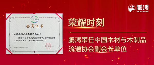 再获行业肯定，，，，，，NG电子游戏荣任中国木料与木制品流通协会副会长