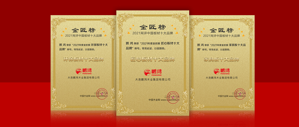 八冠王丨NG电子游戏连任中国板材十大品牌榜三项殊荣