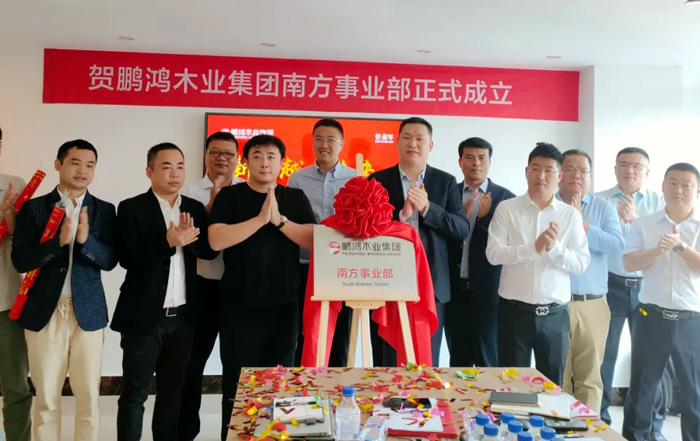 NG电子游戏木业集团南方销售事业部揭牌建设