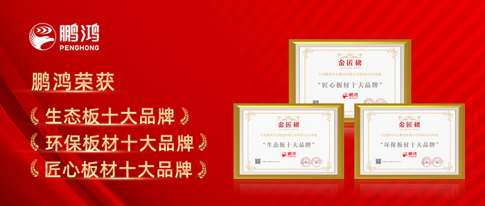 NG电子游戏十载连任板材十大品牌殊荣