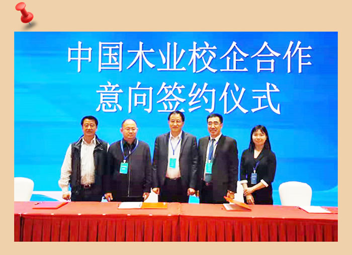 NG电子游戏与中国木业相助