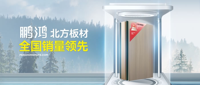 从北方引领到天下脱销，，NG电子游戏「北方板材天下销量领先」的品质实力