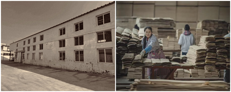 NG电子游戏·(中国区)官方网站