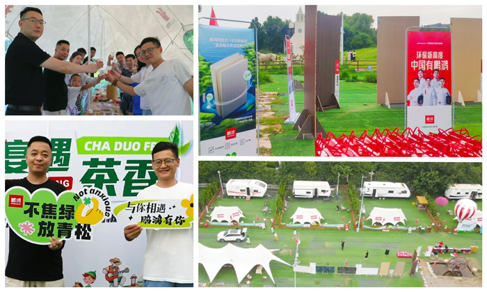 NG电子游戏济南板材经销商活动