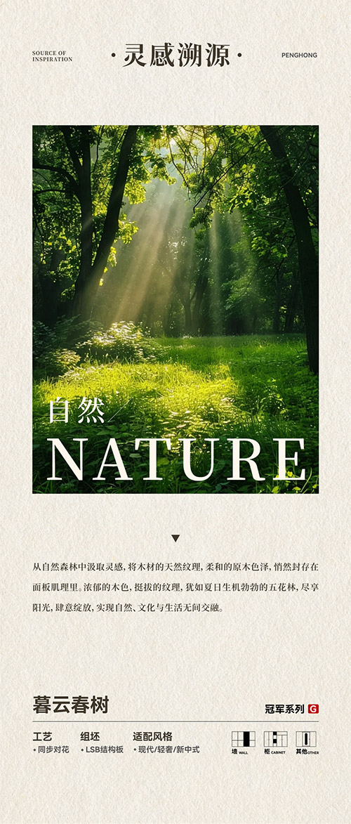 NG电子游戏LSB结构板