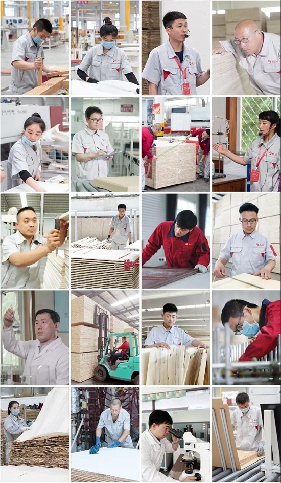 NG电子游戏板材